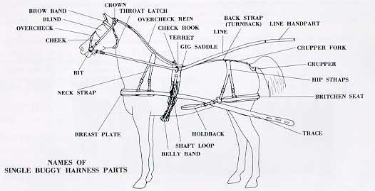 Single Buggy Harness